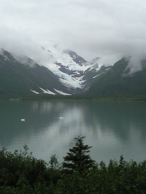 A lake with mountains in the background and trees in the foreground