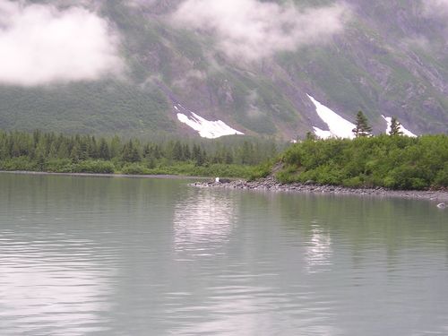 A lake with mountains in the background and trees on the shore.