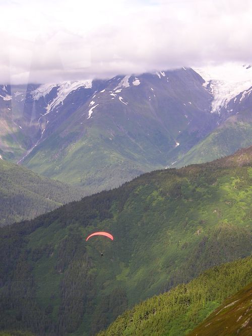 A paraglider is flying over a lush green mountain range.