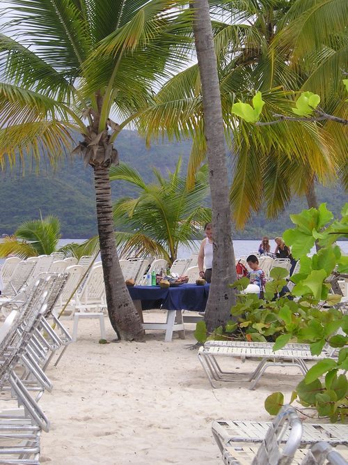 A beach with a table and chairs under palm trees
