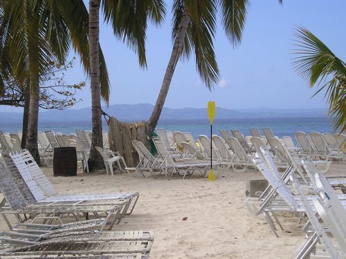 A beach with lots of chairs and palm trees