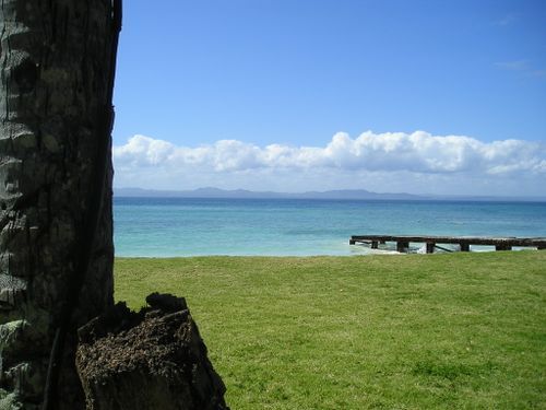 A view of the ocean through a tree stump