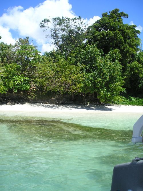 A boat is in the water near a beach with trees in the background
