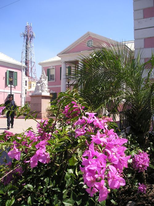 A pink building with purple flowers in front of it