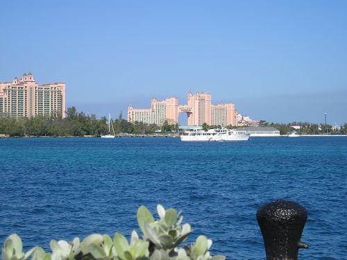 A large body of water with buildings in the background