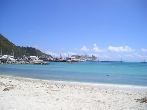 A large cruise ship is docked in the water near a beach