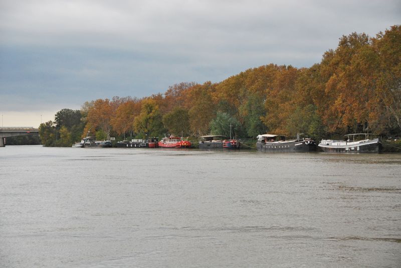 A large body of water surrounded by trees and a bridge