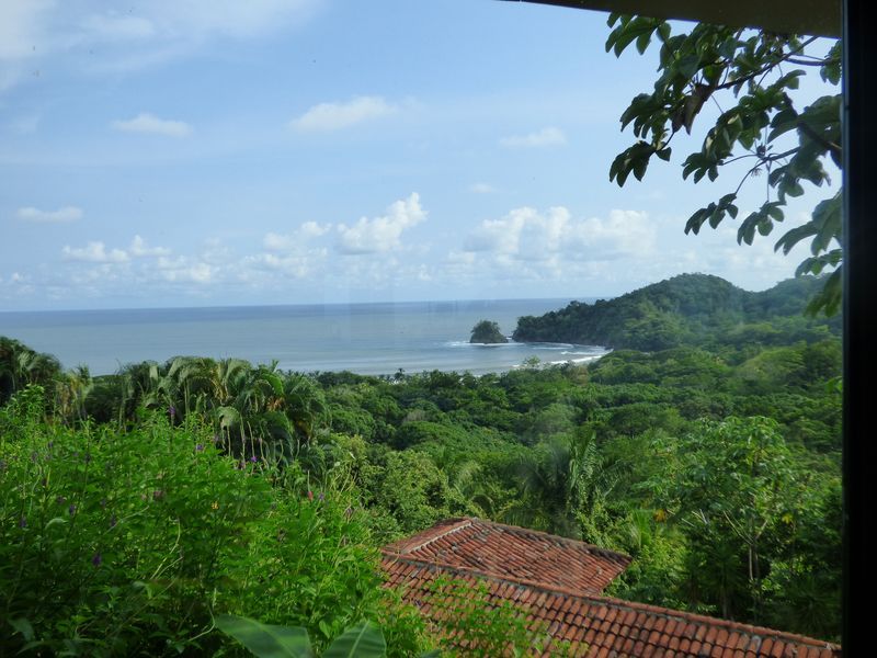 A view of the ocean from a balcony with trees in the foreground