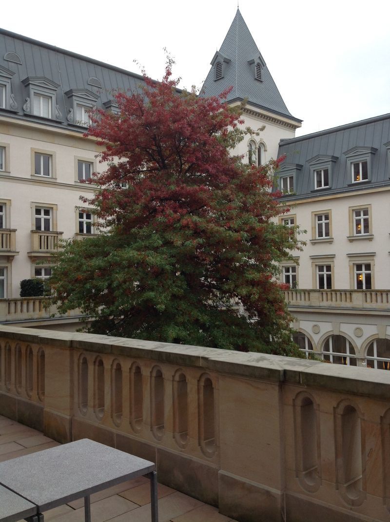 A balcony with a tree and a building in the background