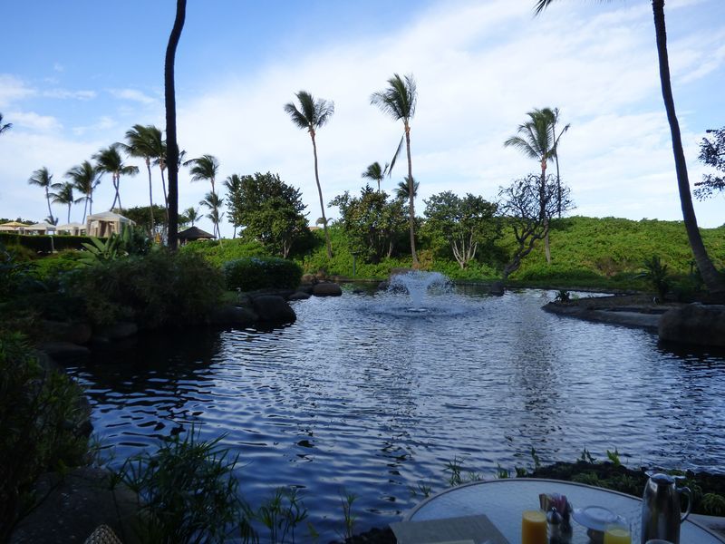 A view of a lake with palm trees in the background