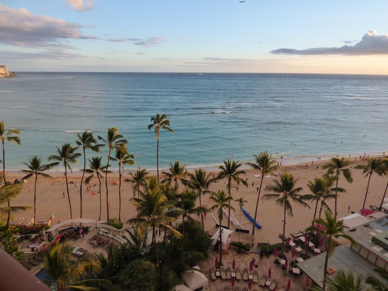 A view of a beach with palm trees and the ocean