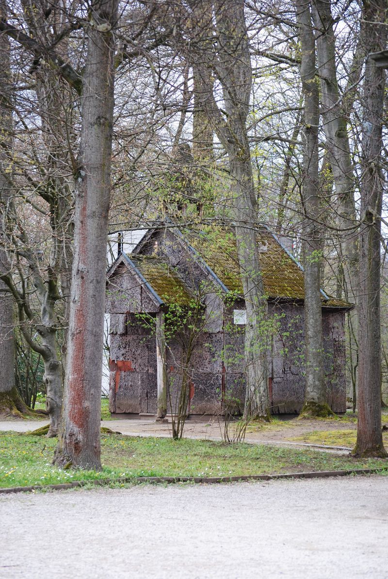 A small house in the middle of a forest surrounded by trees.