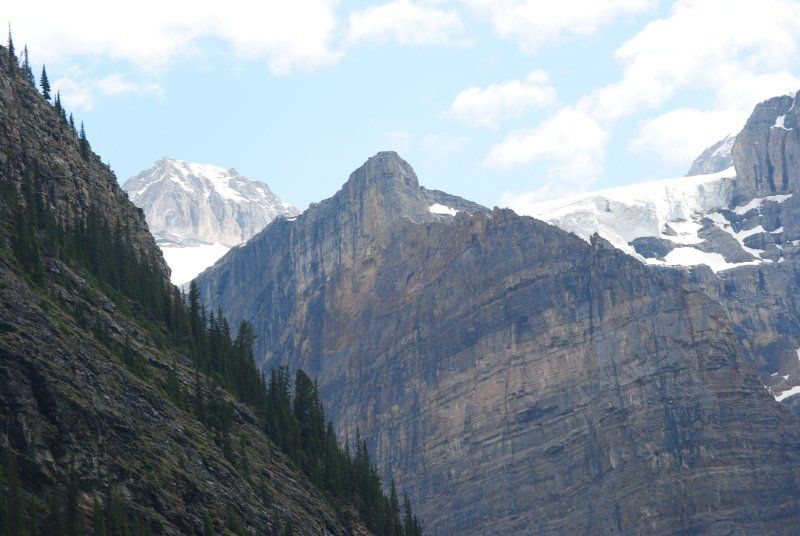 A mountain with trees on the side of it