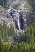 A waterfall is surrounded by trees on a hillside.