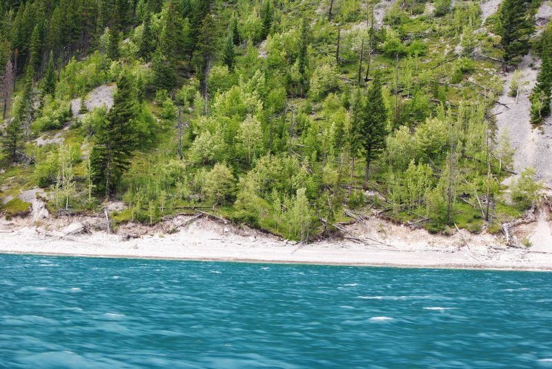 A lake with trees on the shore and a cliff in the background.