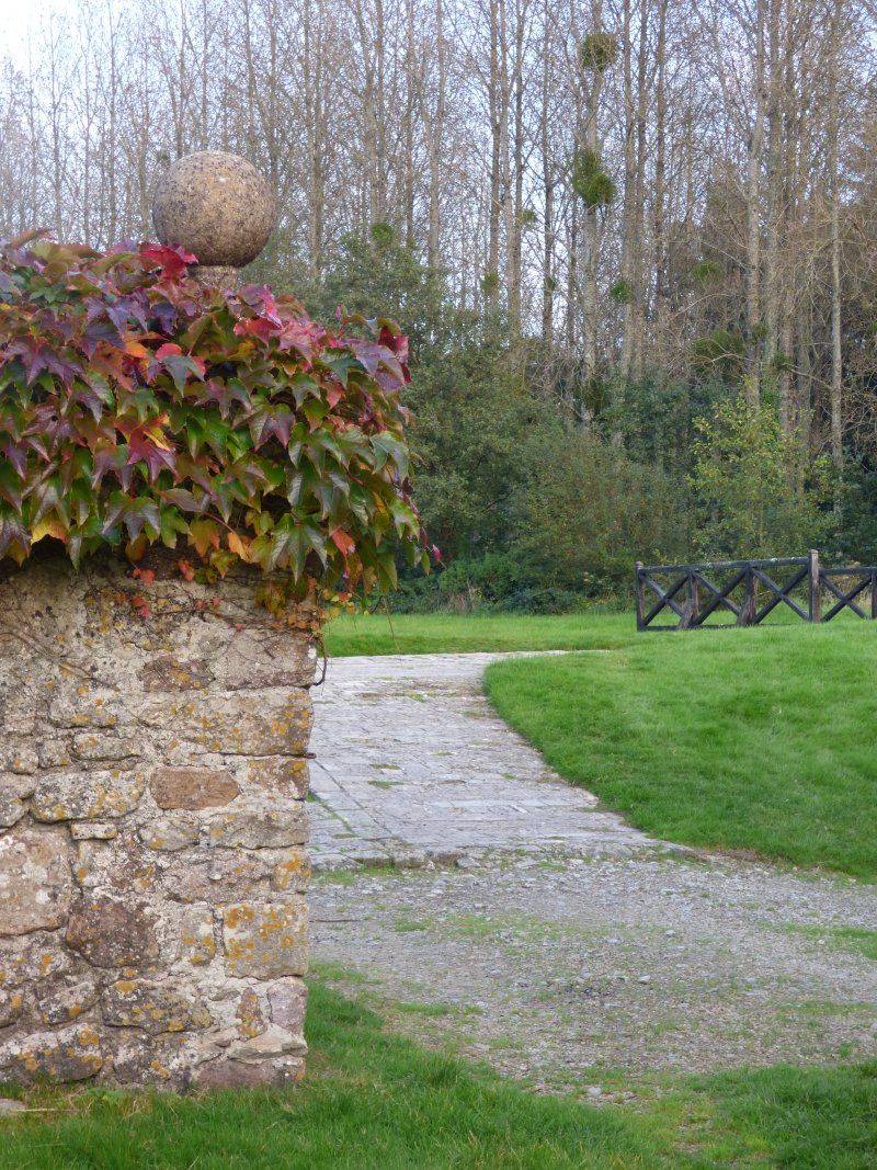 A stone wall with ivy growing on it next to a path in a park.