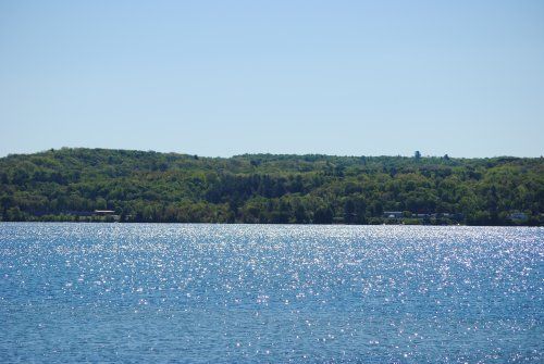 A large body of water surrounded by trees on a sunny day.