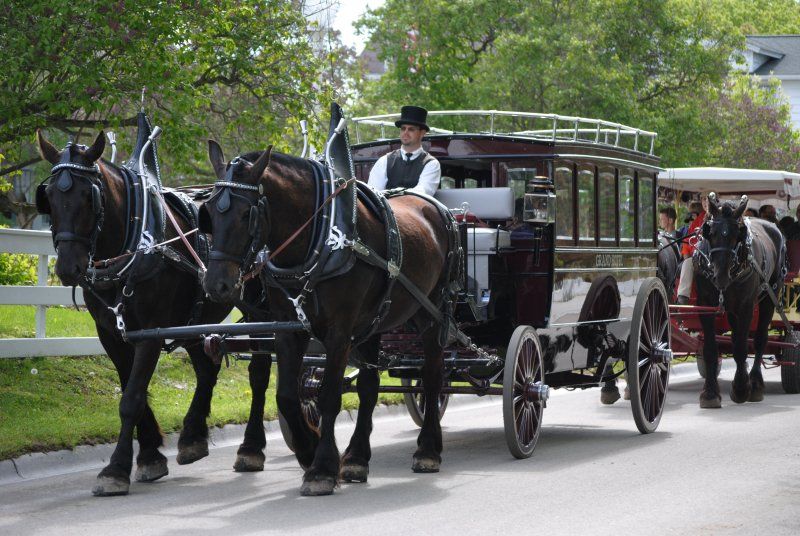 A man in a top hat is driving a horse drawn carriage.