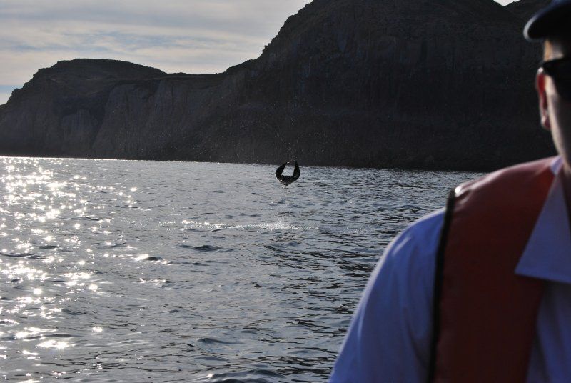 A man in a life vest looks out over a body of water