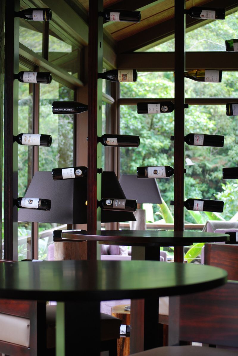 A row of wine bottles are lined up on a wall