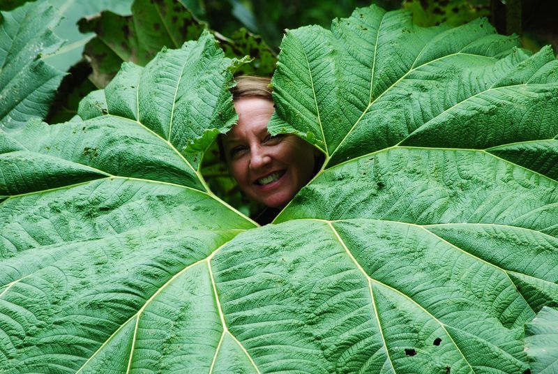 A woman is peeking out from behind a large green leaf.