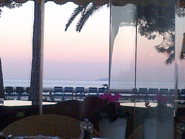 A restaurant with a view of the ocean and palm trees