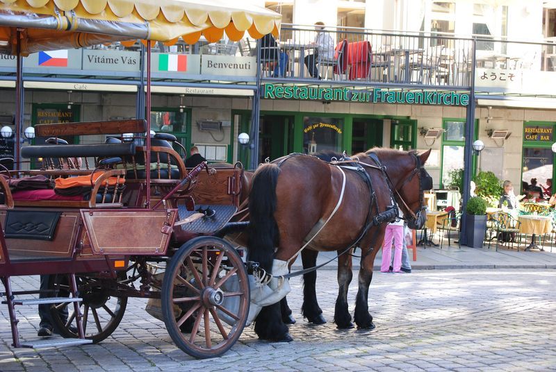 A horse drawn carriage is parked in front of a restaurant