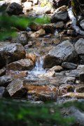 A stream running through a rocky area in the woods.