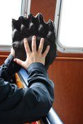 A person is holding a bear paw in their hand.