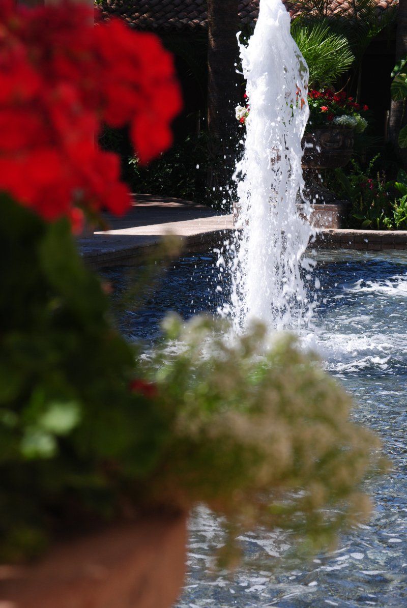 A fountain with red flowers in the foreground