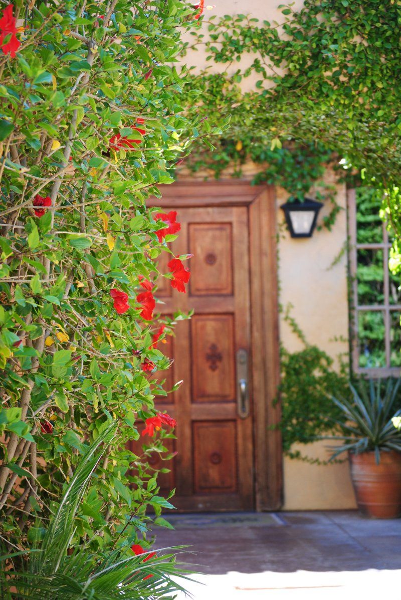 A wooden door is surrounded by a bush with red flowers.