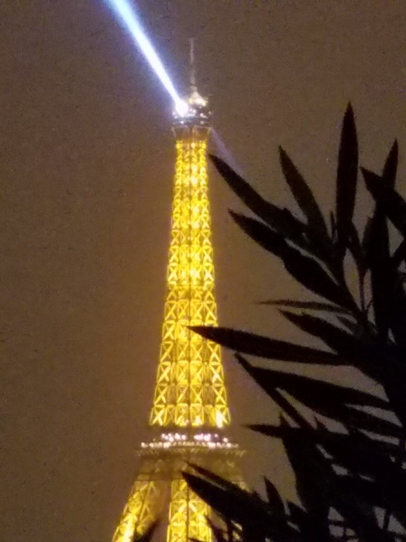 The eiffel tower is lit up at night and surrounded by trees