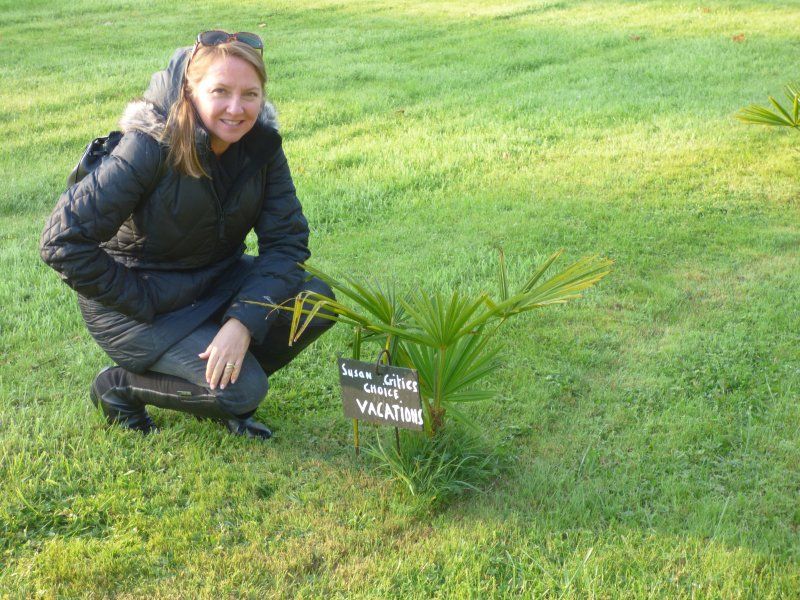A woman in a black jacket is kneeling next to a small plant