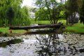 A wooden bridge over a pond in a park with trees in the background.