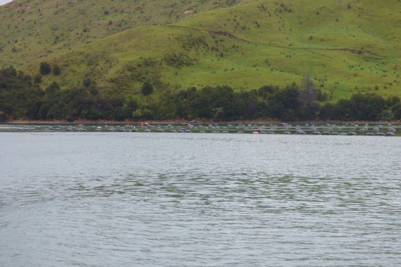A large body of water with a hill in the background.