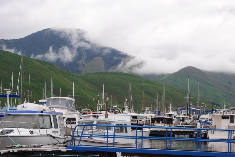Boats are docked in a marina with mountains in the background
