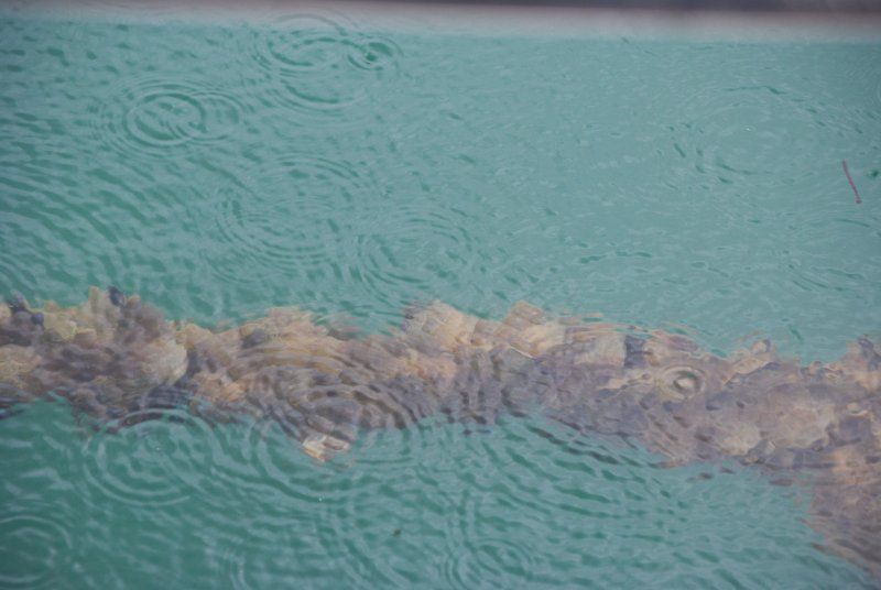 A close up of a body of water with rain drops on it.