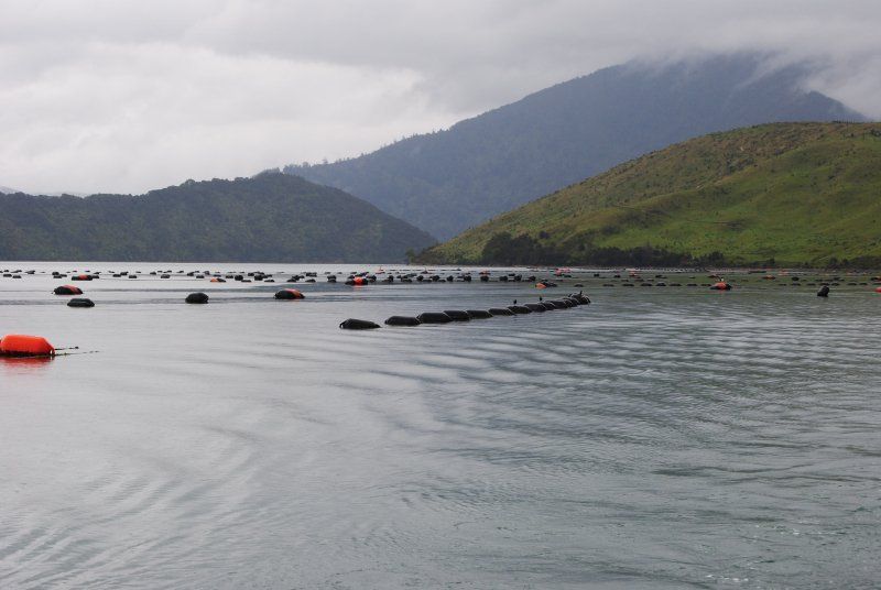 A large body of water with mountains in the background