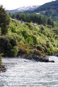 A river flowing through a lush green forest with mountains in the background.