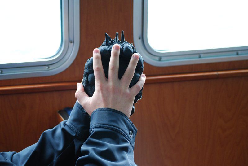 A person is holding a black object in their hands