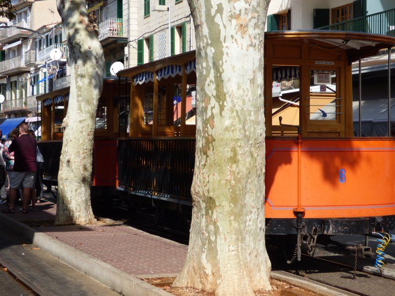 A train is parked on the tracks next to a tree