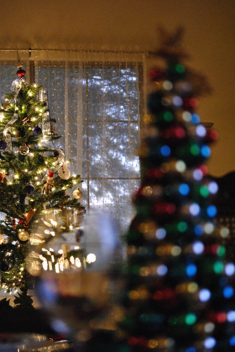 Two christmas trees are lit up in a living room