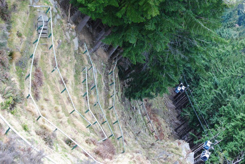 A group of people are walking down a rope bridge in the woods.