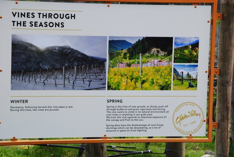 A sign that says vines through the seasons on it