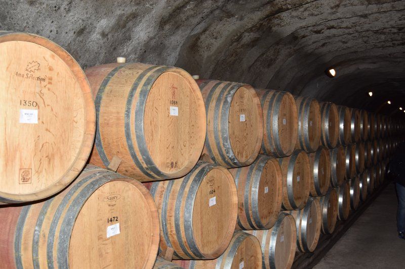 A row of wooden barrels stacked on top of each other in a wine cellar.