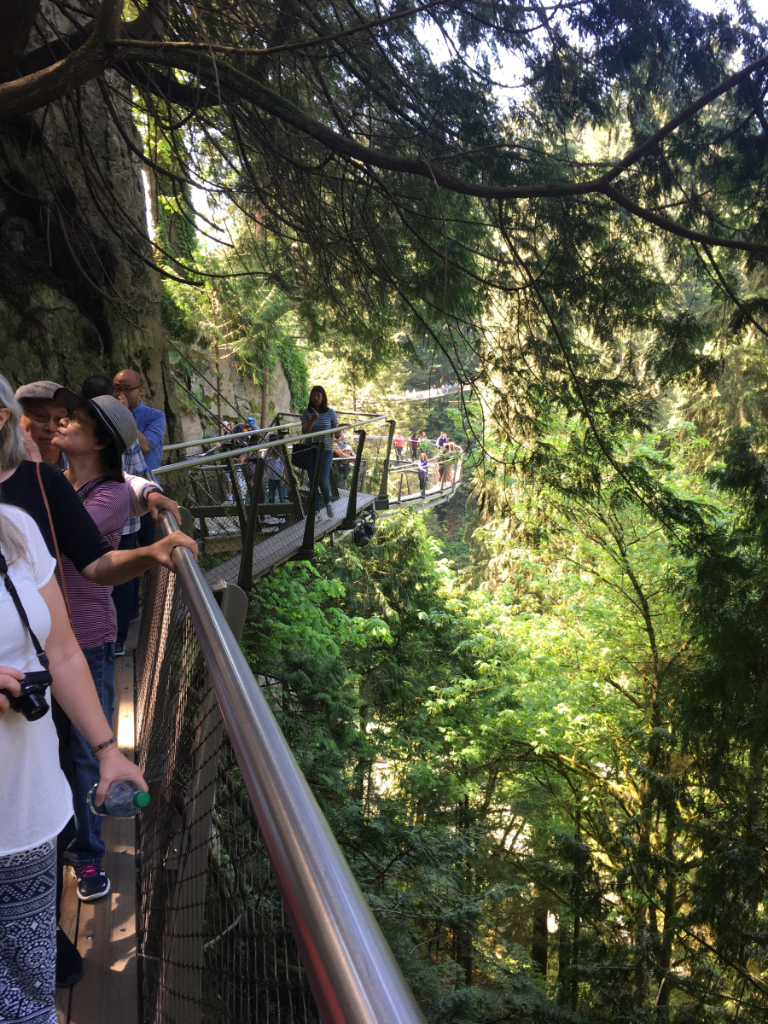 A group of people are standing on a bridge in the woods.