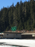 A building with a green olympic ring on top of it in front of a forest.