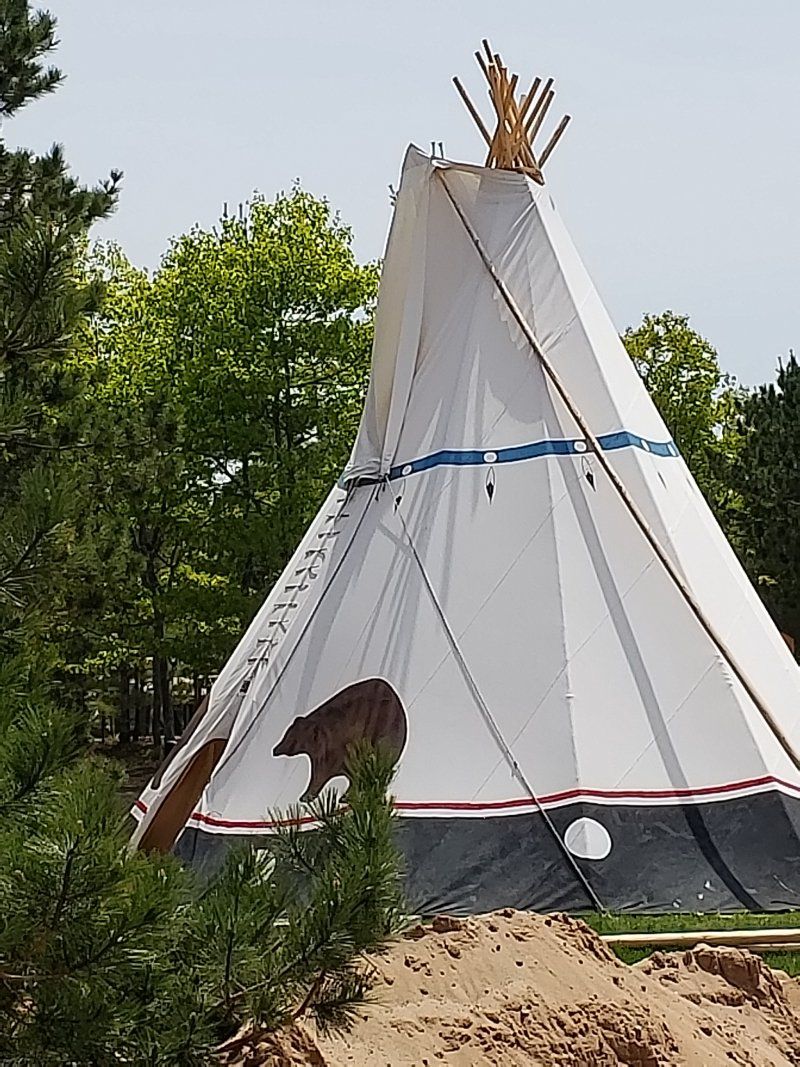 A teepee is sitting in the middle of a forest
