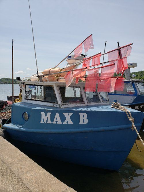 A blue boat with the name max b on it