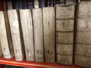 A row of old books are lined up on a shelf.